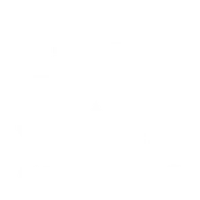 Space Lv - Bizness