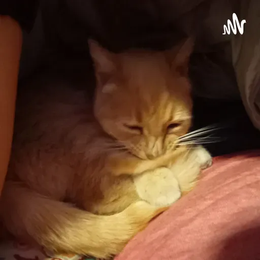 Pues, esta si es triste :/