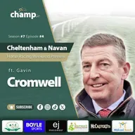 CHELTENHAM & NAVAN PREVIEW ✅ Ft. GAVIN CROMWELL ⭐ Weekend Horse Racing Tips 🏇