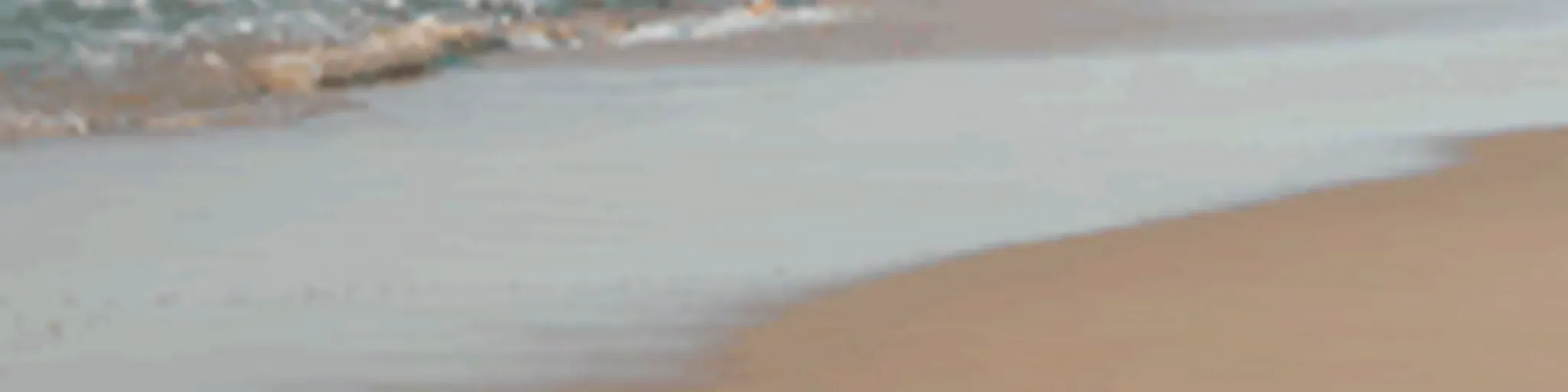 teddungal