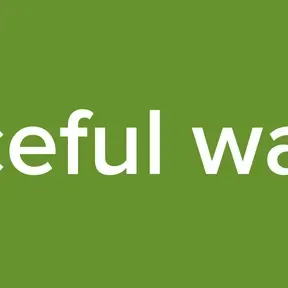 Peaceful warrior