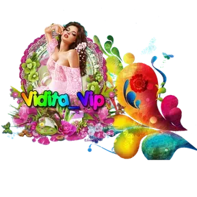Radio Vidita VIP