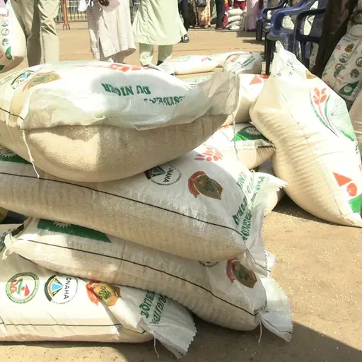 La Semaine sur Kalangou : temps forts de l’actualité et focus sur l’accès des femmes à la terre