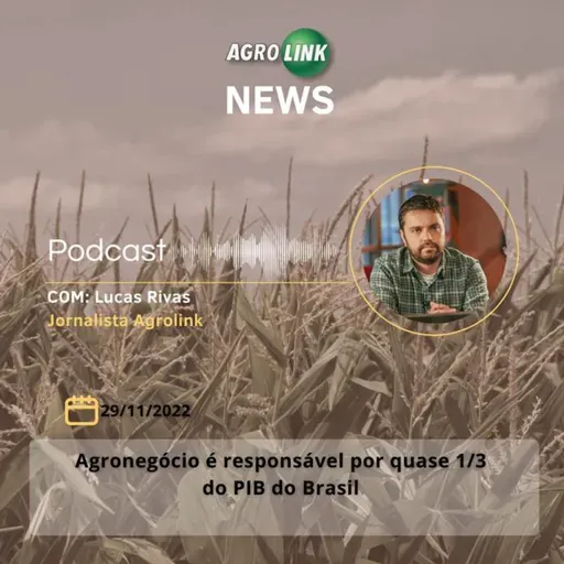 Senado debate mudanças na fiscalização agropecuária