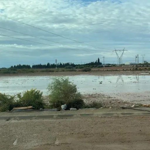 REACCIÓN EN CADENA T08C004 La ciencia detrás de las emergencias (22/10/2025)