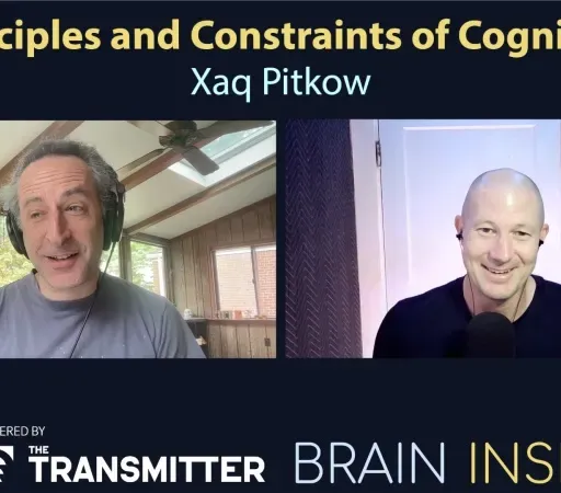 BI 219 Xaq Pitkow: Principles and Constraints of Cognition