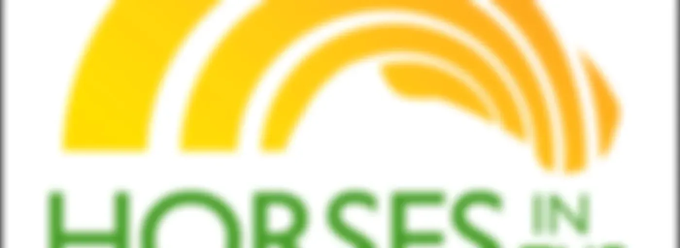 Horses in the Morning