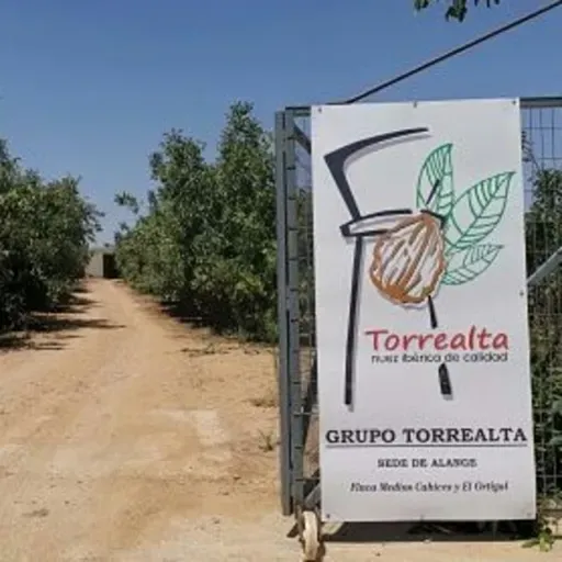 NUEVA PLANTACIÓN NOGALES EN ALANGE POR EL GRUPO TORREALTA.