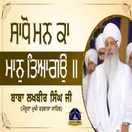 30/11/2025 | SAADHHO MAN KAA MAAN THIAAGO || | KIRTAN BABA LAKHBIR SINGH JI RATWARA SAHIB