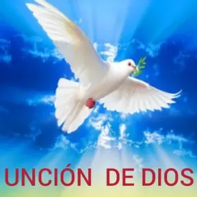 CIELOS ABIERTOS