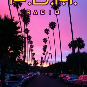 F.D.M. RADIO