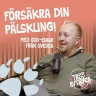Annons från VAFO: Försäkra ditt husdjur - allt du behöver veta