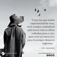 O Impulso de Voar...