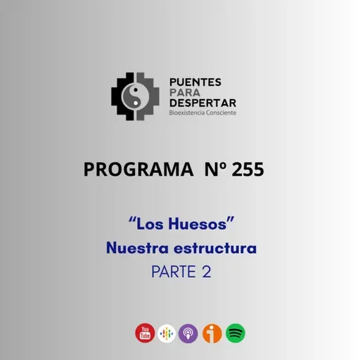 Programa N°255 de Puentes para Despertar, "Los Huesos, Nuestra Estructura Parte 2"