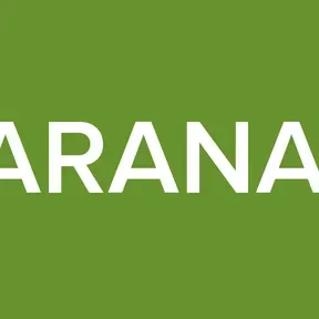 DJ ARANA FM