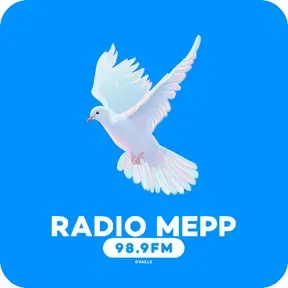 Radio Meep