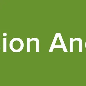 Vision Anglo