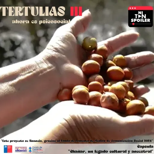  Tertulias III - Cápsula "Chañar, un legado cultural y ancestral"