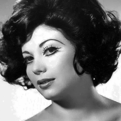 آواهای کمشنیده از دیروز تا امروز • افخم مهاجر