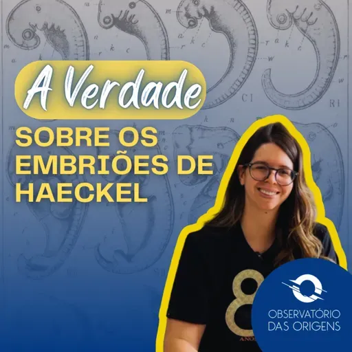 Observatório das. Origens - A verdade sobre os embriões de Haeckel