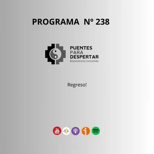 Programa Nro. 238 de Puentes para Despertar "El Regreso"