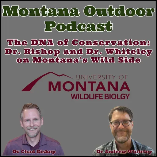 Montana’s Wildlife Whisperers: Inside the U of M's Wildlife Biology Program