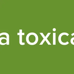 La toxica
