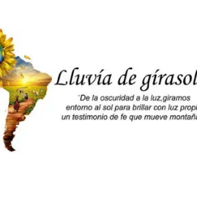 Lluvia de Girasoles