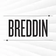 Breddin: Politisku ungmannafeløgini og valini