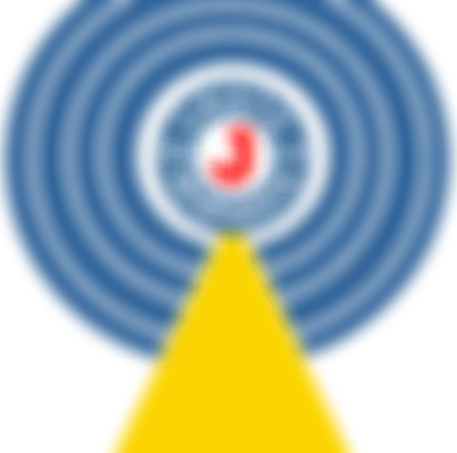 Programación: 15 de noviembre de 2021