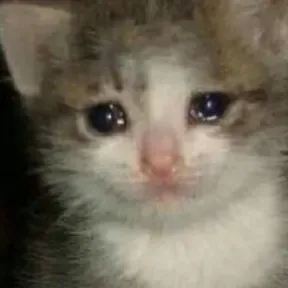 Miauu