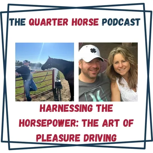 Quarter Horse - Harnessing the Horsepower: The Art of Pleasure Driving for September 16, 2025 - HORSES IN THE MORNING