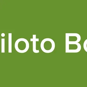 UE Piloto Bolivia