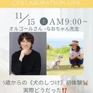 ウチの犬が⁉️逃げた‼️咬んだ‼️口傷事故になった時💦ご近所トラブル③#4