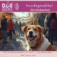 #79 Weihnachtsmarkt mit Hund – cosy Adventsdate oder Stress pur?