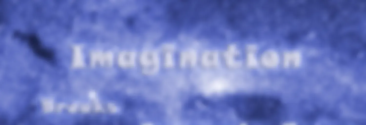 Imagination with Dima Spider