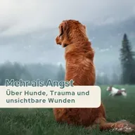 Mehr als Angst: Über Hunde, Trauma und unsichtbare Wunden