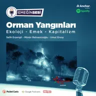 Orman Yangınları: Ekoloji, Emek ve Kapitalizm