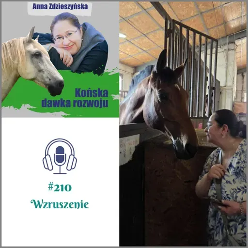 #210 Wzruszenie