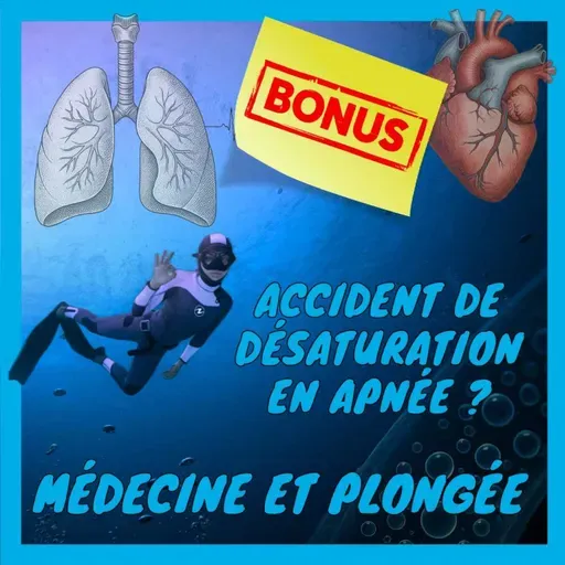 [Médecine et plongée] Apnée et accident de désaturation : le "Taravana syndrome" expliqué