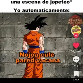 elvectorxd