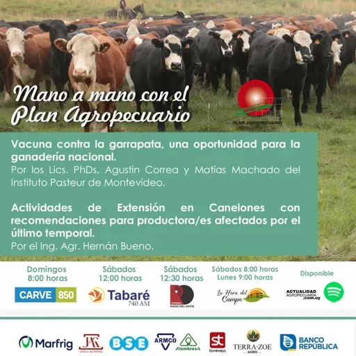 Vacuna contra la garrapata. Actividades de Extensión en Canelones.