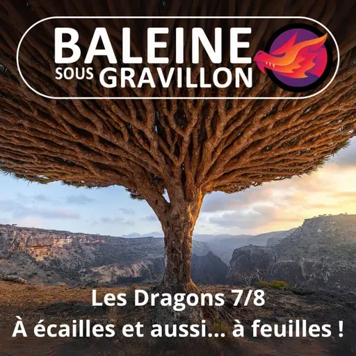S07E16 Les Dragons 7/8 : À écailles et aussi... à feuilles ! (Léah Thomas-Bion)