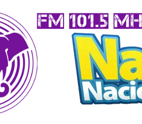Naxi Radio 016