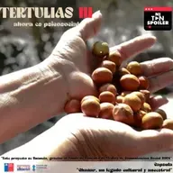  Tertulias III - Cápsula "Chañar, un legado cultural y ancestral"