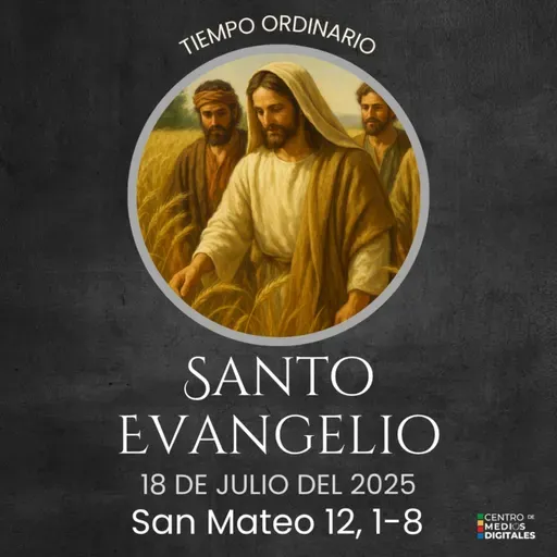 Evangelio del 18 de julio del 2025 según Mateo 12, 1-8