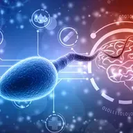 Sexual Reproduction: Engineered for Success