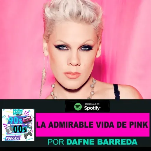 La admirable pero dura vida de Pink