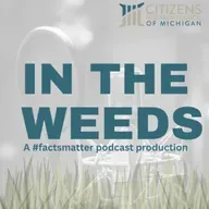 Michigan's a home rule state...but it doesn't allow local tax options. What?