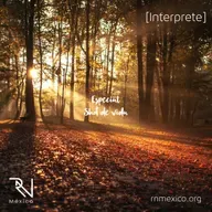 Episodio Especial [Interprete]